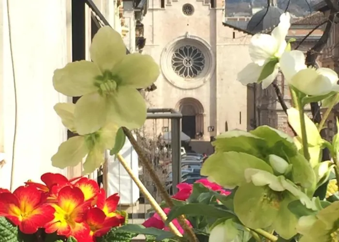 B&B Homer Trento